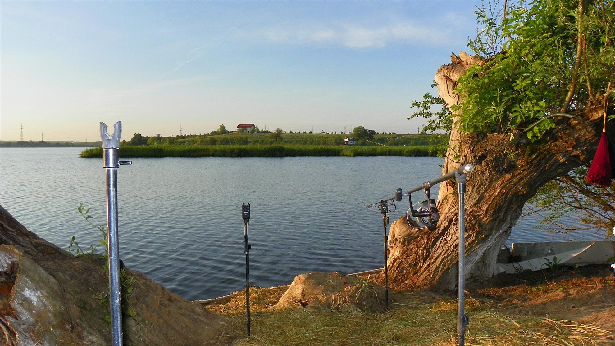 Crapmania (2) - 2011 - 1001355.JPG